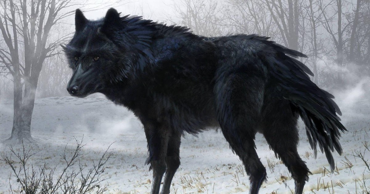 Black Wolf Over 1080 X 1080 : wolf fractal | Wolf ...