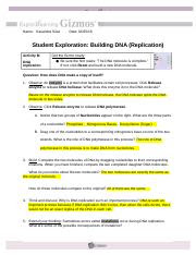 Meiosis Gizmo Answer Key - Meiosis 1 And Meiosis 2 Worksheet Answer Key