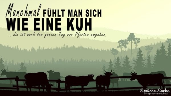 Top 100 Lustig Böse Sprüche Für Jeden Tag gute zitate