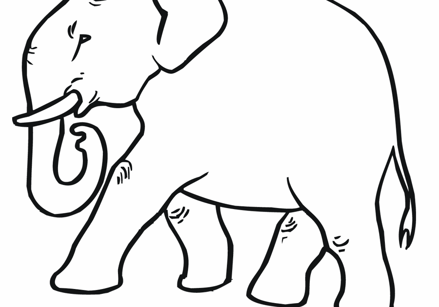 Dibujos Para Colorear De Animales Vertebrados