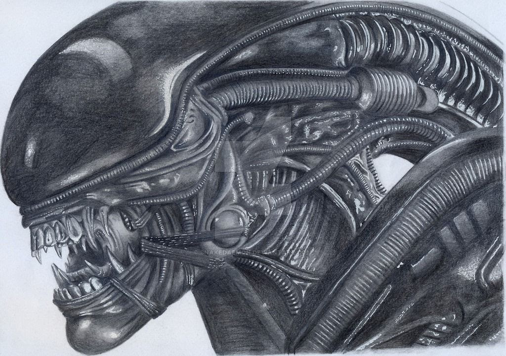xenomorph predator robux getdrawingscom tacular