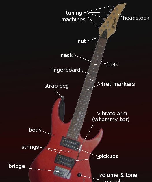 Diagram Of Electric Guitar / The Physics Of Electric Guitars Explain