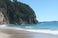 Hahei beach