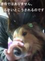 画像-0103のコピー