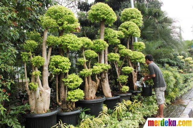 Harga Perawatan Di Rumah Cantik Alamanda Surabaya - Tea Newer
