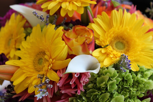 Florist «Park Hill Joyce Flower Shop», reviews and photos, 36 Oak St, Manchester, CT 06040, USA