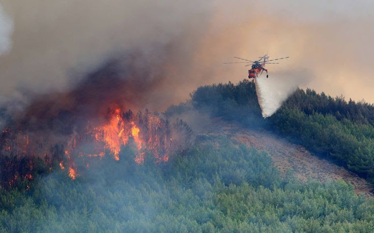 Φωτιά σε δασική έκταση στην περιοχή Γλυκορρίζι Μεσσηνίας