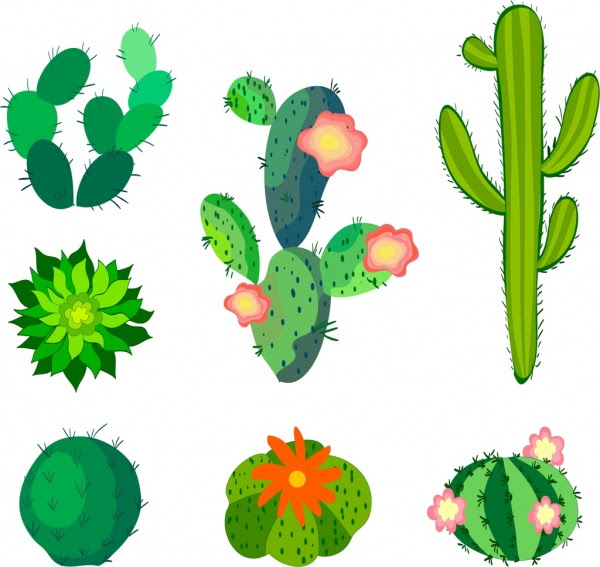 35+ Cara Menggambar Kaktus, Koleksi Spesial!