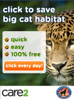 Save Big Cat Habitat
