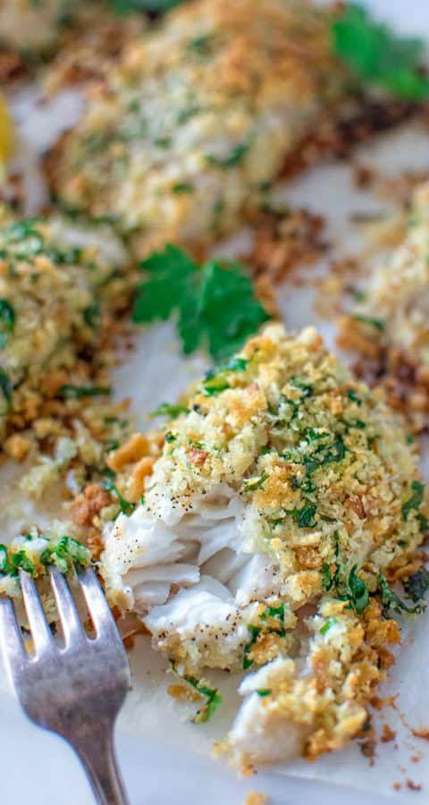 38 RECIPE FOR BAKED TILAPIA WITH PANKO BREAD CRUMBS