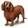 hond