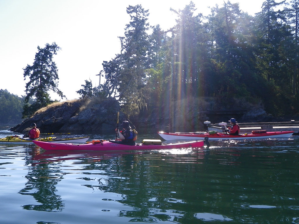 2010-08-15 Portland Island 028