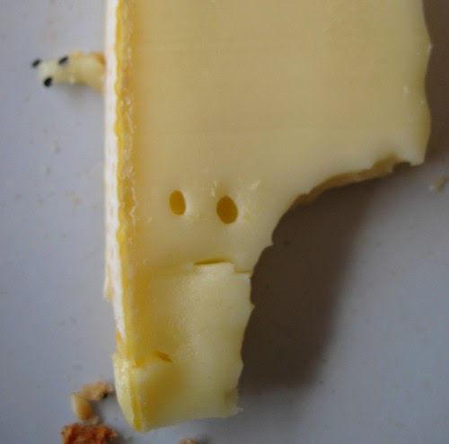 Concerned cheese