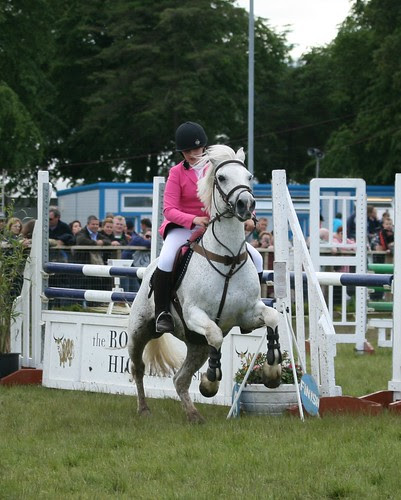 Showjumping