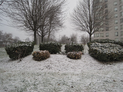 Snow!