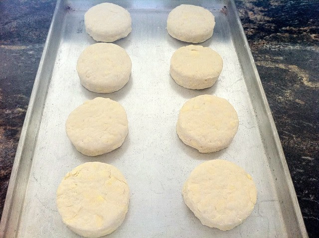 Biscuits Read to be Baked