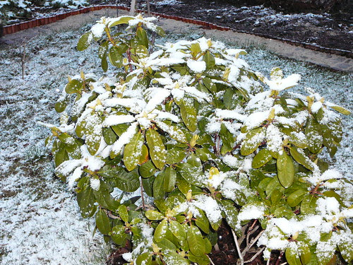 winterlicher Ostersonntag 2008 (02)