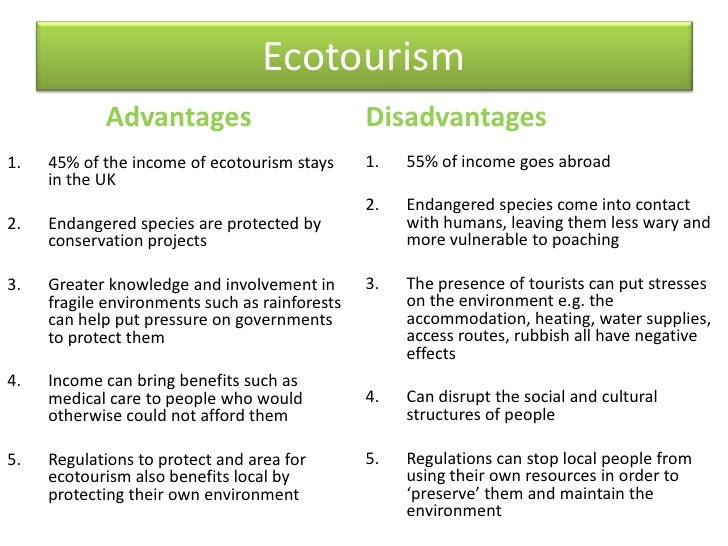 pros and cons of ecotourism essay