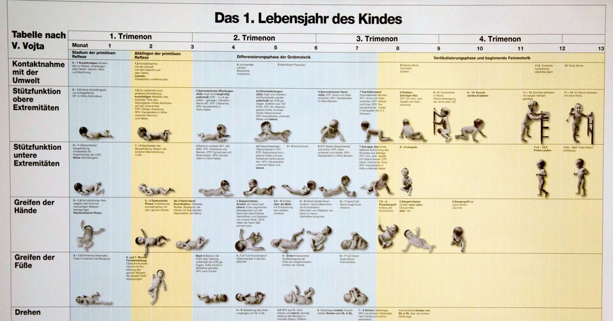 Entwicklungstabelle Beller Zum Ausdrucken, Beller Tabelle