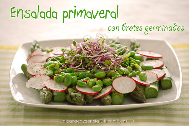 Spring salad with sprouts