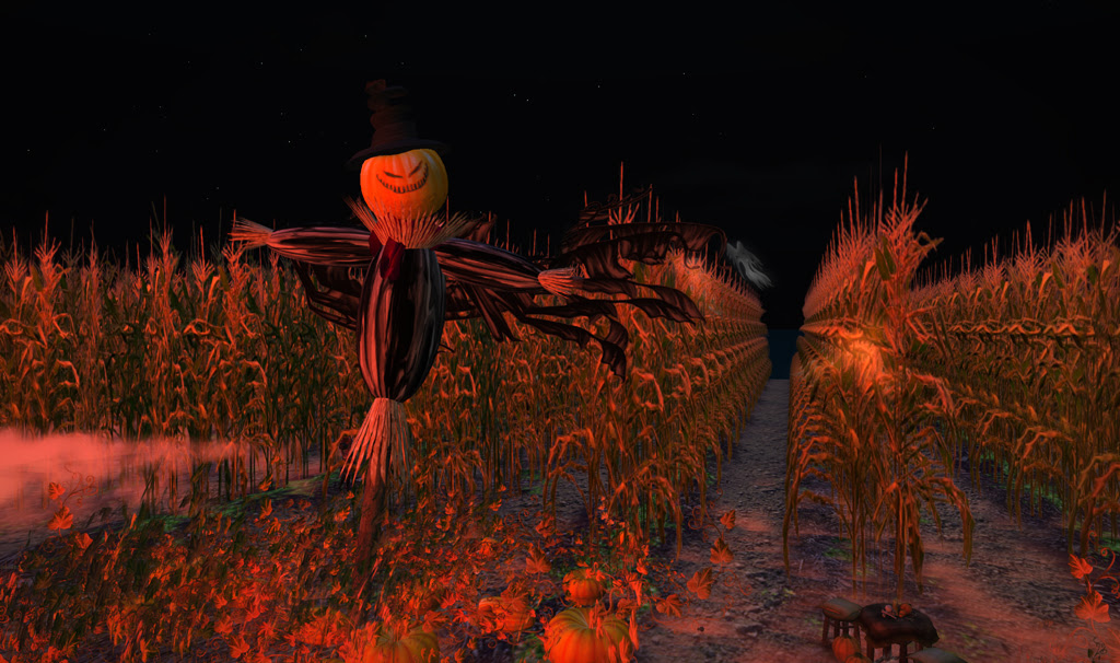 The Corn Field 3