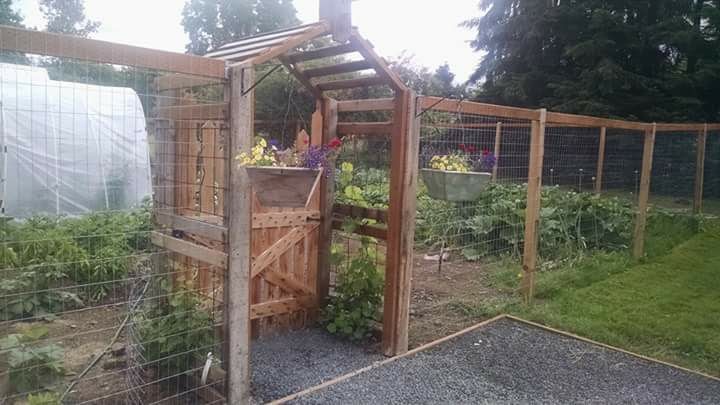 Raised Garden Beds Enclosed