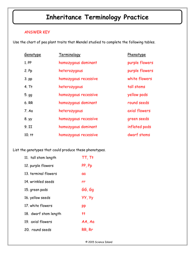 Mendelian Genetics Worksheet Answer Key - worksheet
