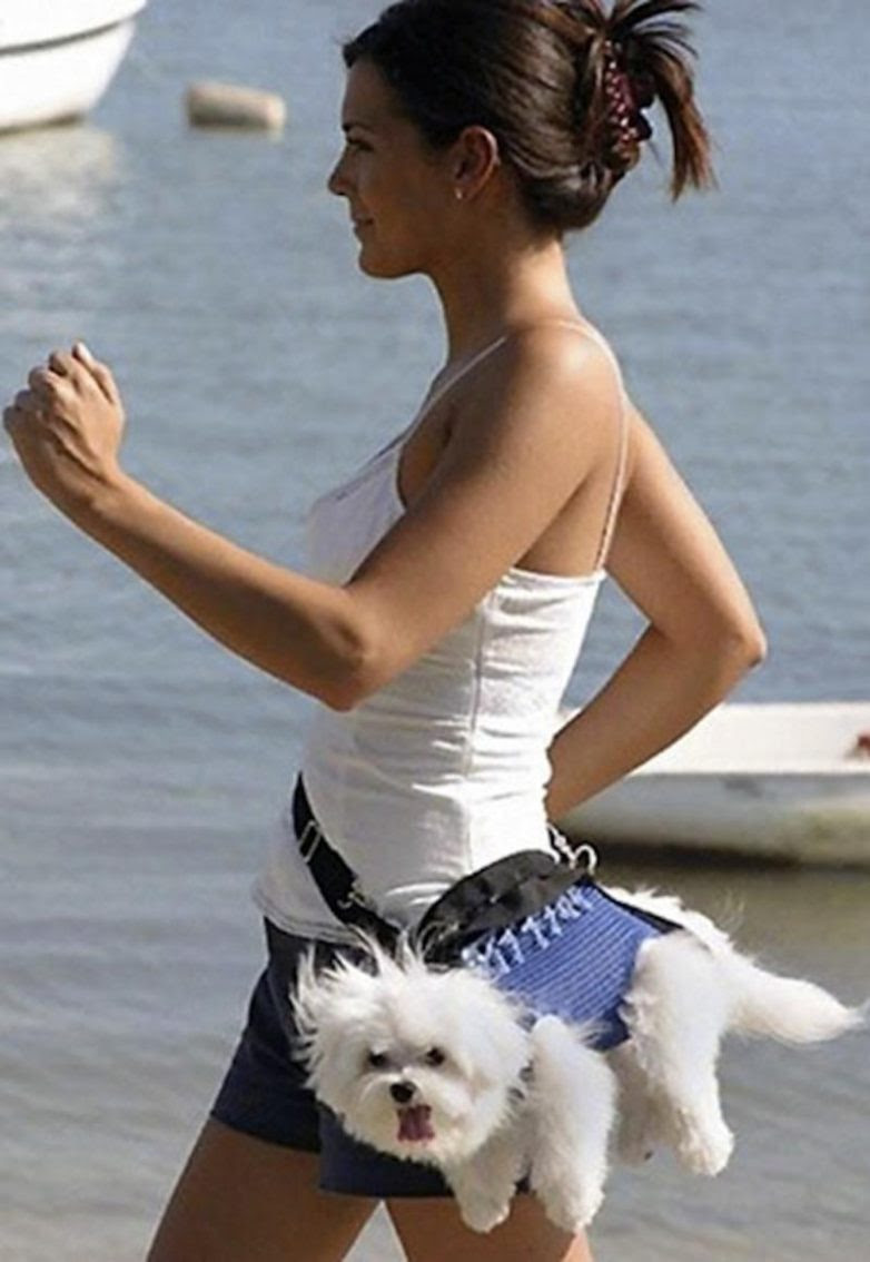 25 well, very surprised dogs