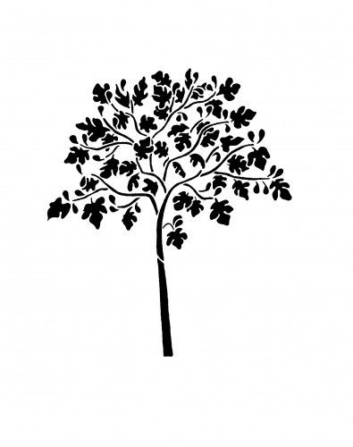 Fig Tree Drawing Easy - Chrisyel