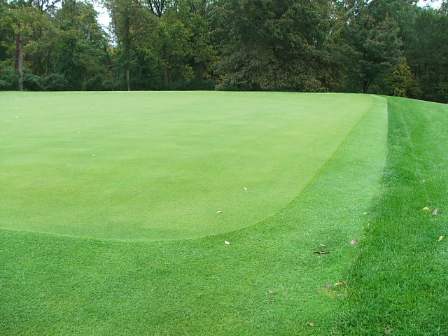 C 2nd sq green