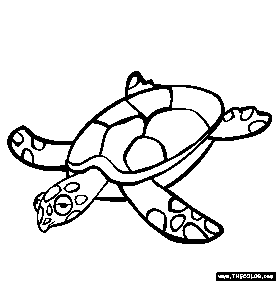 Animal Coloring Pages: Turtle coloring pages