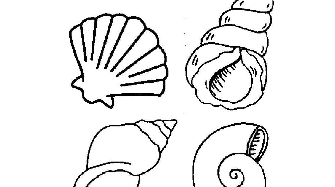 Coloriage étoile De Mer Et Coquillage Coloriage Etoile De Mer Et Coquillage En Couleure | 30000