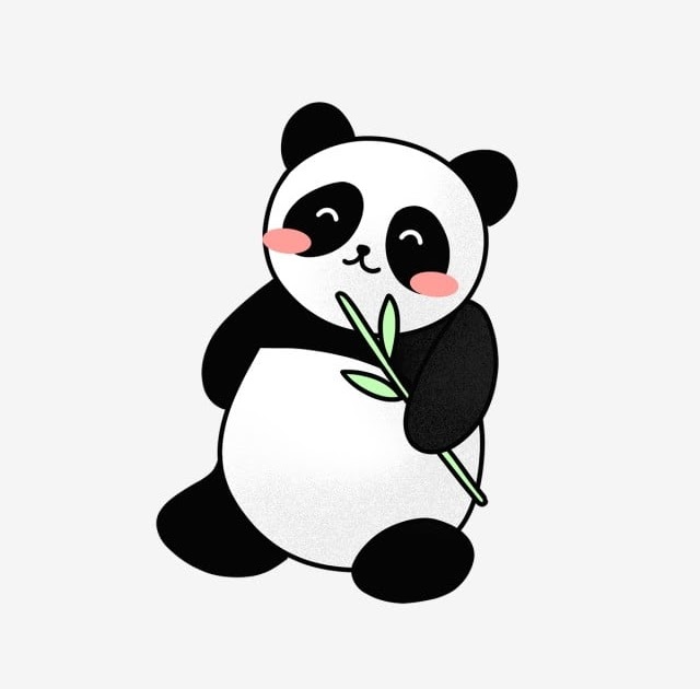 20 Gambar  Kartun  Binatang Panda  Kumpulan Gambar  Kartun 