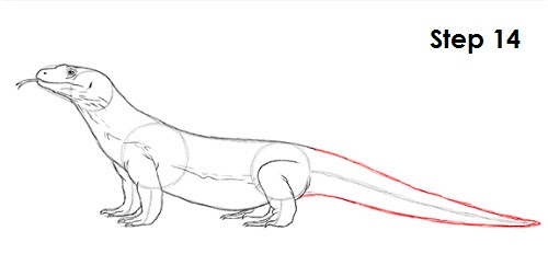 sketch komodo dragon drawing coloriage antilope addax