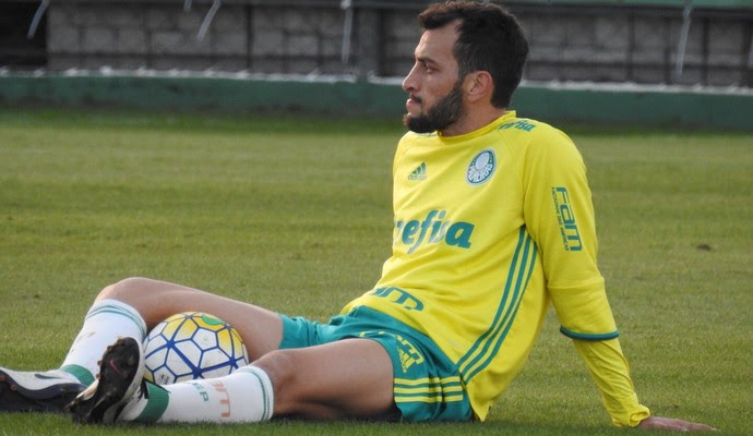Edu Dracena Palmeiras (Foto: Rodrigo Faber)