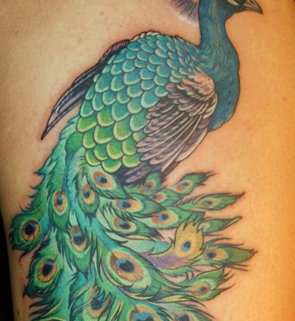 7 Spectacular Peacock Tattoos Tattoo.com - HD Tattoo Design Ideas