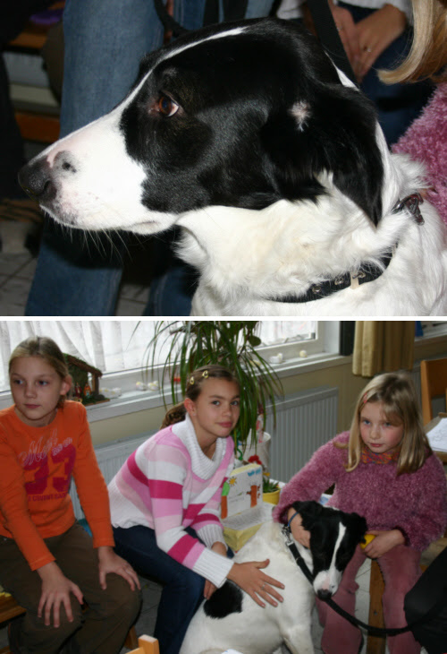 referat_über_hunde — Der Hundeblog