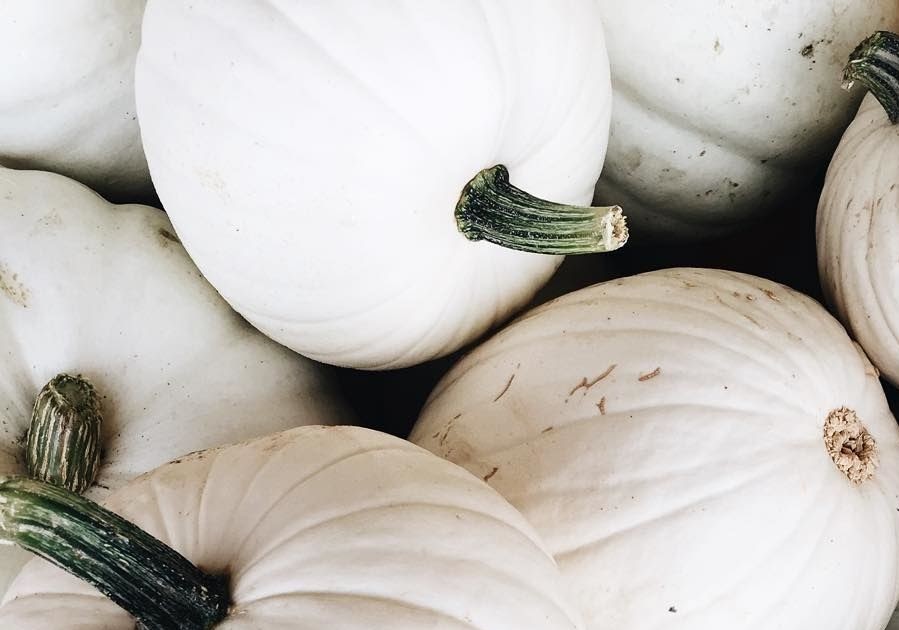 white pumpkin wallpapers wallpaper cave on white pumpkin wallpapers