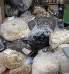 extra fleeces