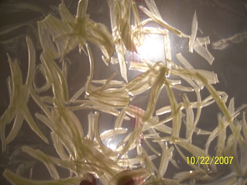 Cryoblanch