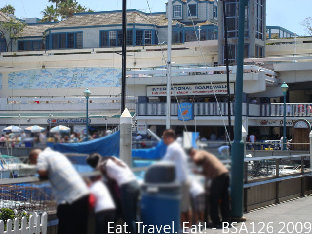 DSC04590-2