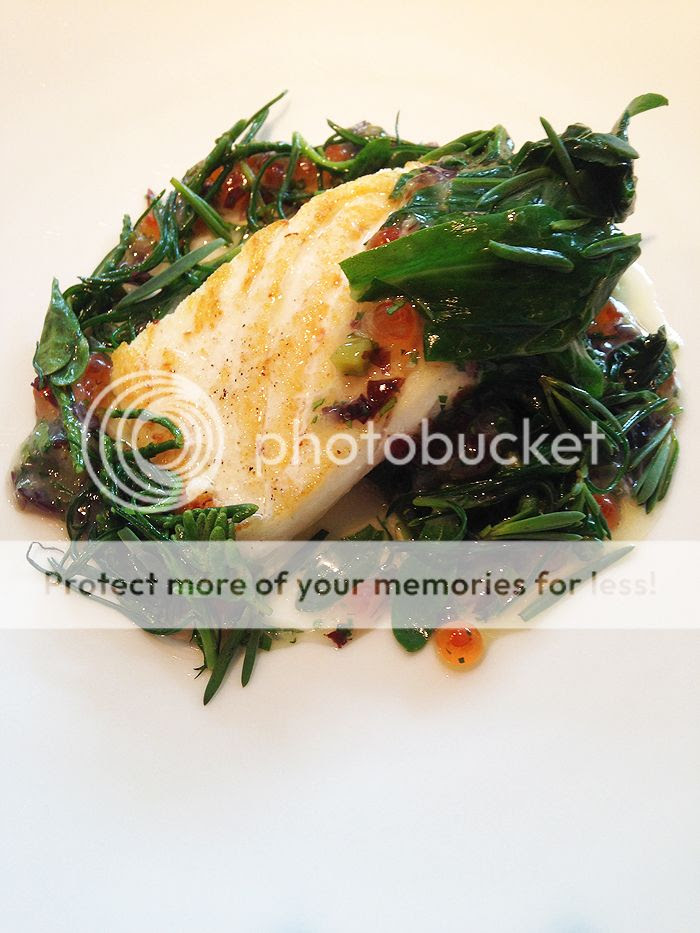 photo 20_zps4fd1c6e7.jpg