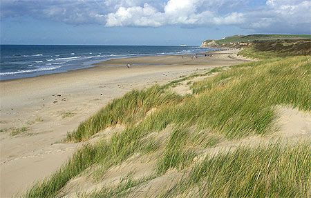 Dunes et oyats, cap Blanc-Nez, Côte dOpale, Nord-Pas-de-Calais.Dunes and marram grass.