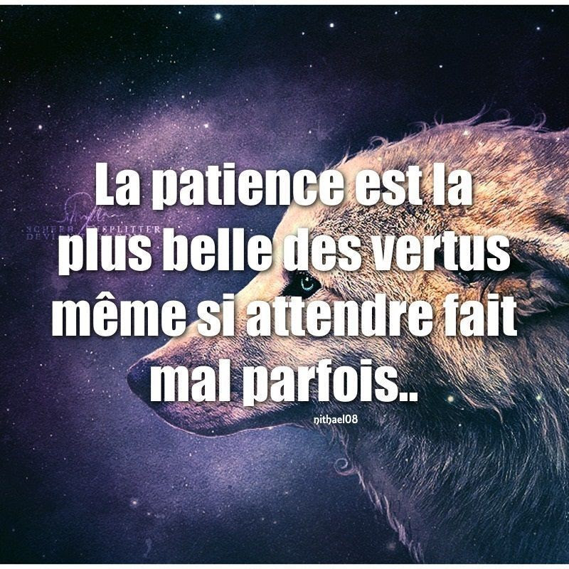 23++ Citation Sur La Patience En Image