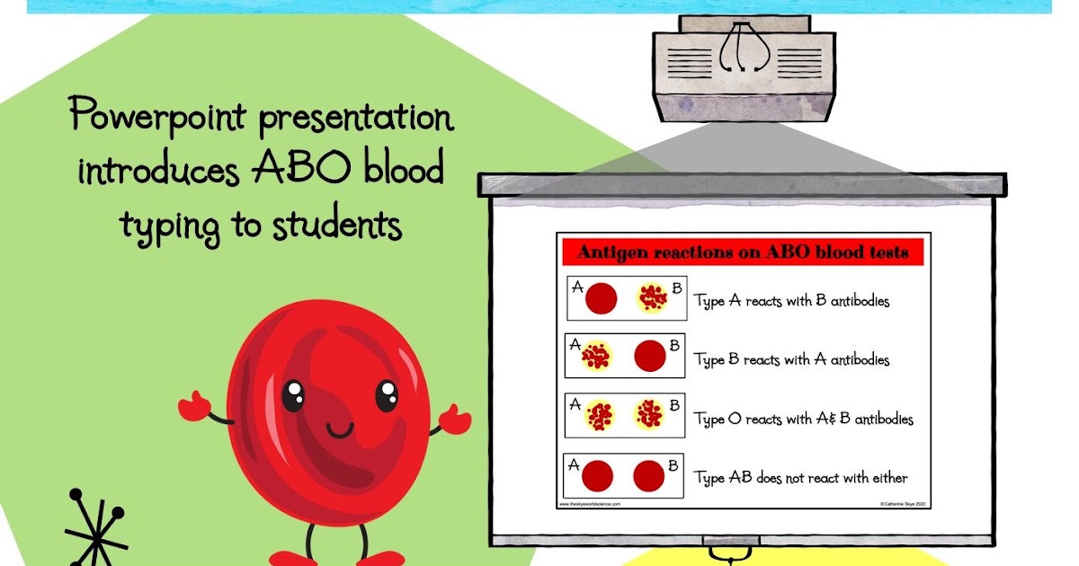 blood-typing-game-worksheet-answers-worksheet