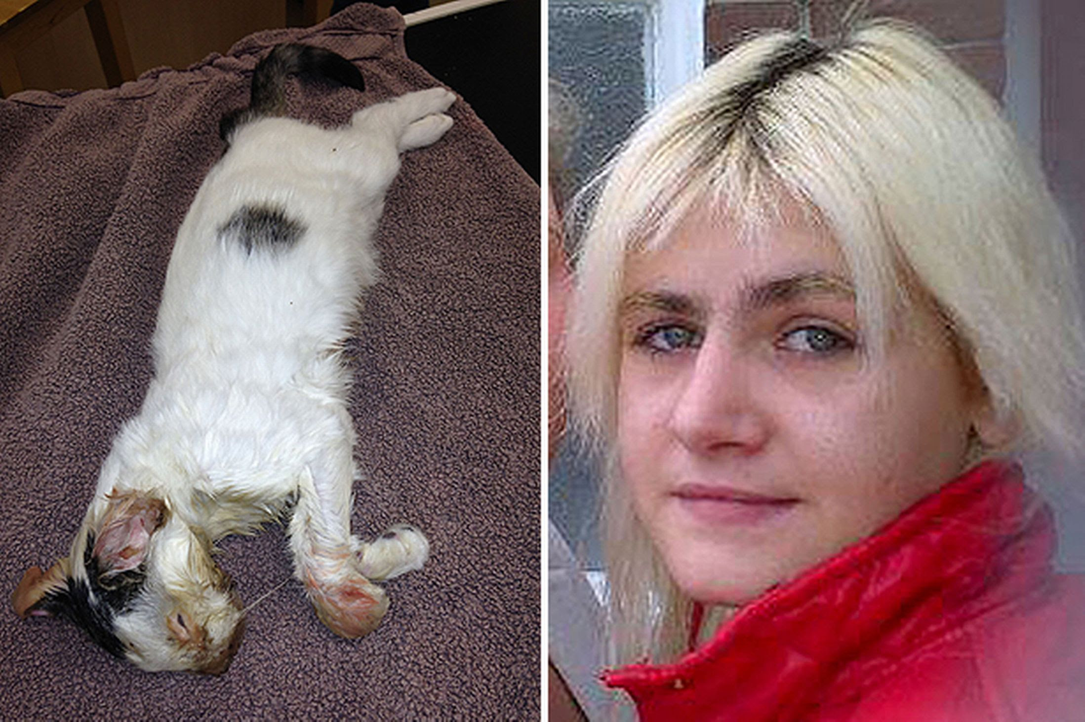 Roving Informant British Woman Jailed For Microwaving Kitten