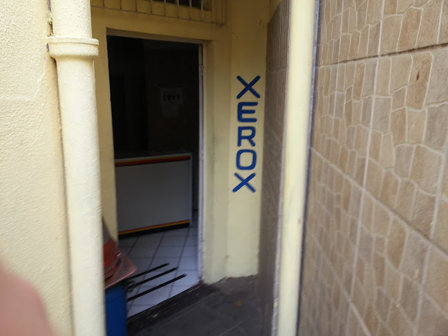 Xerox do Kall - Belo Horizonte