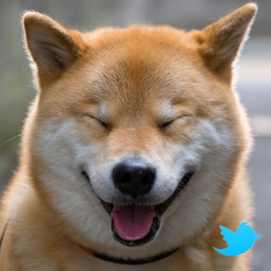 すべての美しい花の画像 75 Iphone 柴犬 まる 壁紙