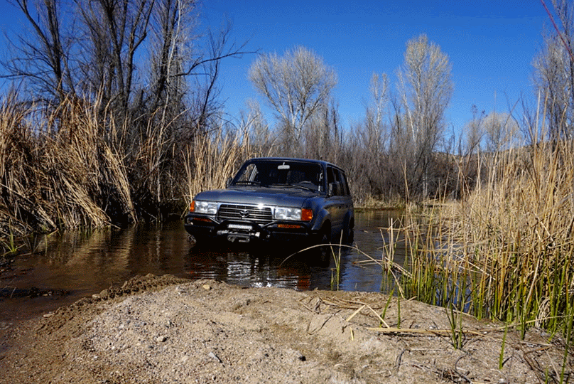 photo DSC04047-ANIMATION.gif