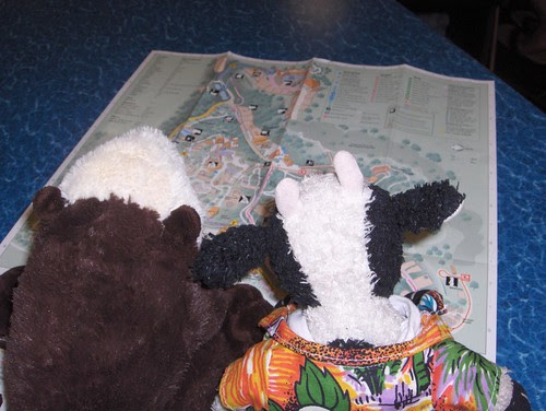 Shelly and I study the map to see where to go first